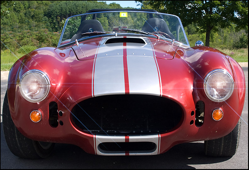cobra2