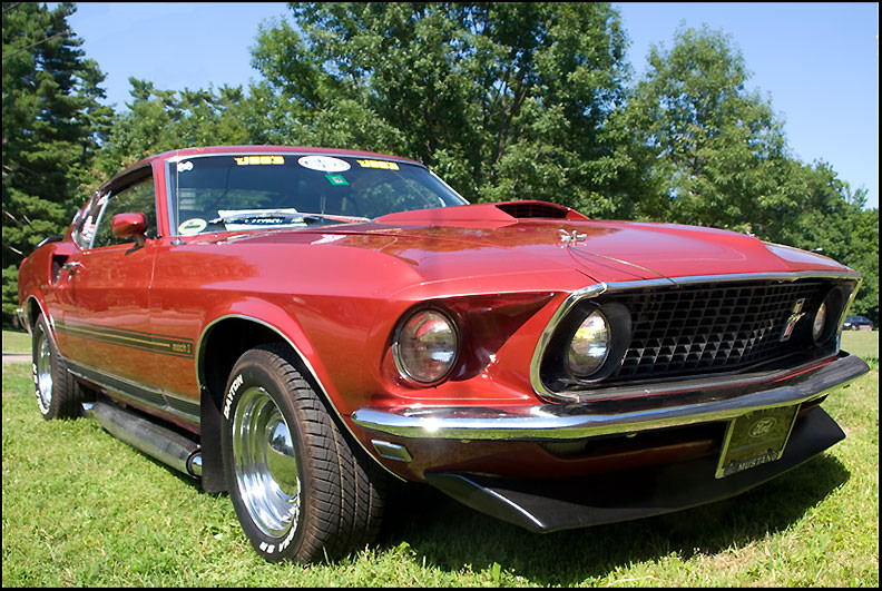 mustang