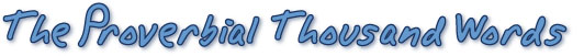 text