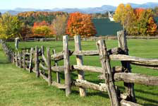Morgan Horse Farm