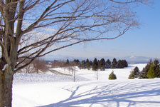 winter motif