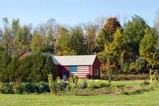 Erin's Garden