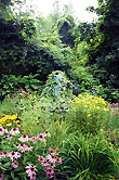 Howling winged monkey in weeds