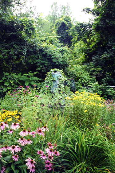 winged monkey buried in the weeds