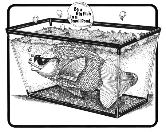 FishPond