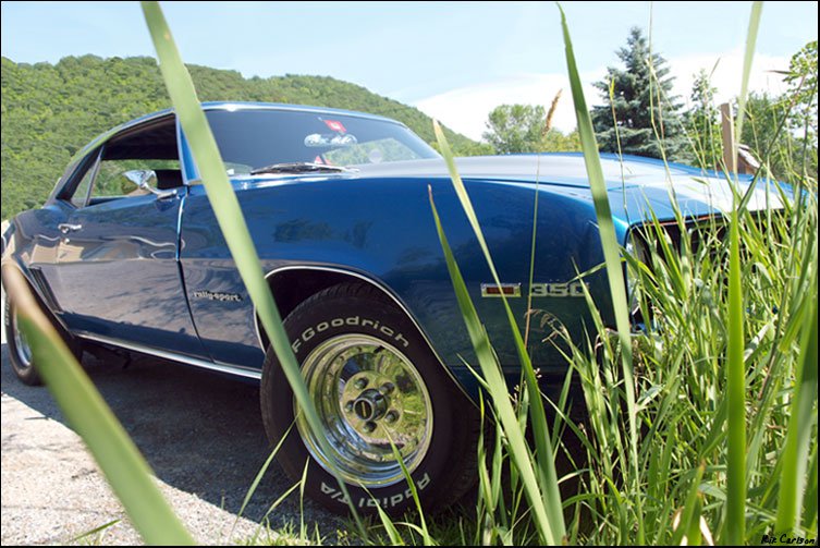 camaro