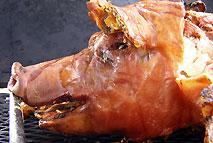 pig