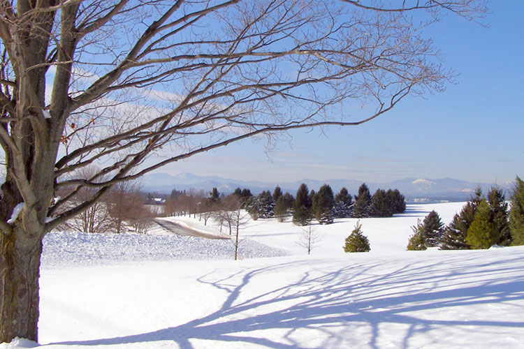 motif #1 - winter