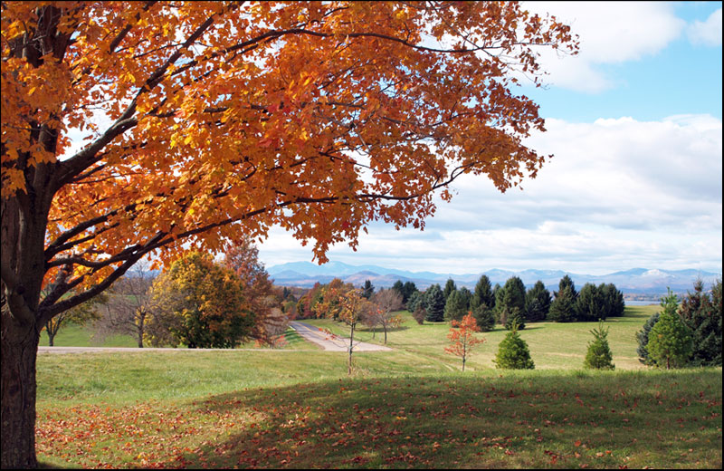 autumn