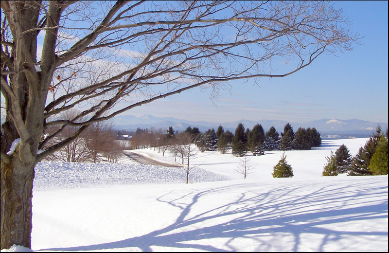 winter